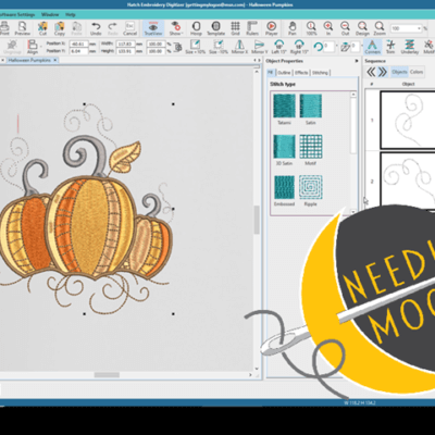 What does digitizing look like?